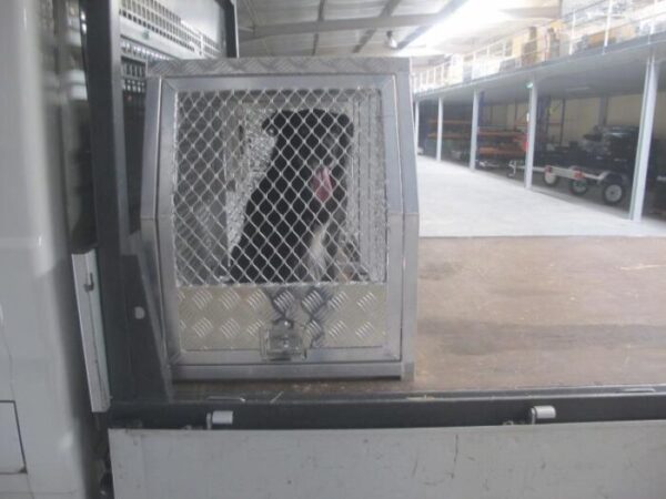 att-5762.jpg Coffre aluminium transport chien complet 1770 x 700 mm